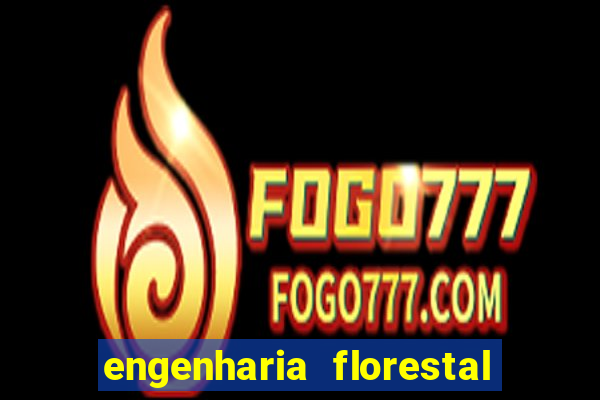 engenharia florestal ead cruzeiro do sul